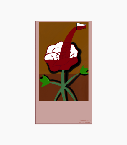 Silent Bloom – The Rose Under Spotlight